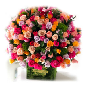 Box 200 Rosas