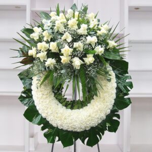 Corona 120cms