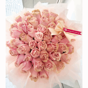 Sleepy Beauty Roses