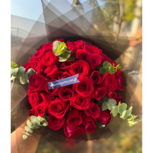Cherry Roses